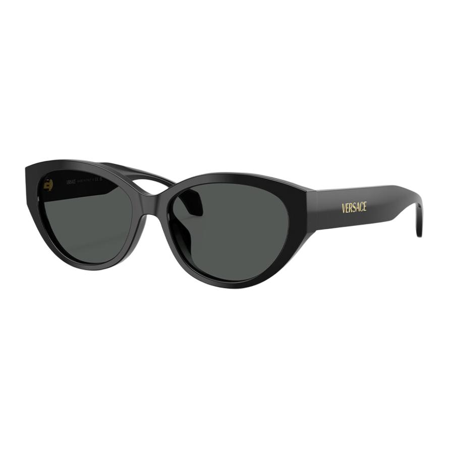 Versace Logo Oval Sunglasses Women sunglasses Black O4495D-OGB18756_RTU_TU_ONUL__ Basic Packaging-Eyeglass Case+Box