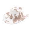 Hat women's new velvet milk pattern western cowboy hat fashionable thickened cold and warm one-word top hat