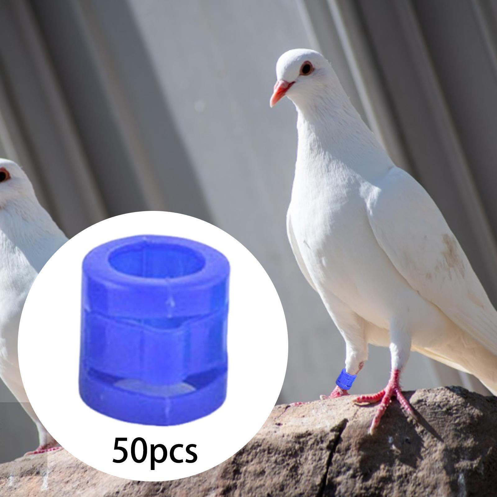 

50 9mm Bird Identification Rings for Pigeons, Easy to Open, Lightweight And Versatile, PP синій