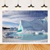 Arctic Glacier Photography Backdrop Supplies Winter Natural Scenery Ice Snow Background Party Decoration Banner Photo Shoot Prop1971