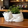 Huaqianguhh Flowerpot Ornament, 3D Printed Sleeping Dragon Shape, Matte Large Curved Planter, for Home Office Desktop Gardening Decoration