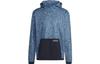Originals Adventure AOP OH Sweatshirts Men's Blue Hooded Moderate HK5015