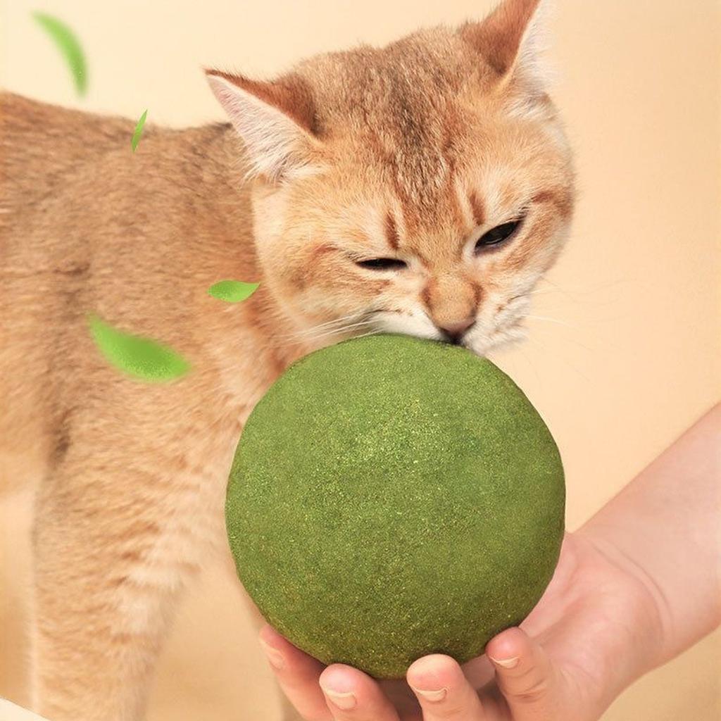 10cm Extra Large Catnip Ball Toy Interactive Teasing Chew Toy for Cats