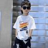 Boys' Trendy Korean Style Pure Cotton Short-Sleeve T-Shirt – Summer Clothing for Middle & Large Children