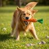 Set of 12 strong chew toys for dogs, strong and durable set of PetJet toys