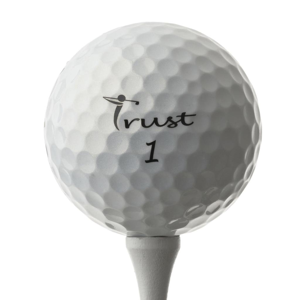 Trust Trust Golf Ball 2023 Bison V Stopping Urethane Cover Reactive Core 1 Dozen White Flying, Non-Bending, 3-Piece (Tour Series) (12 Pieces)