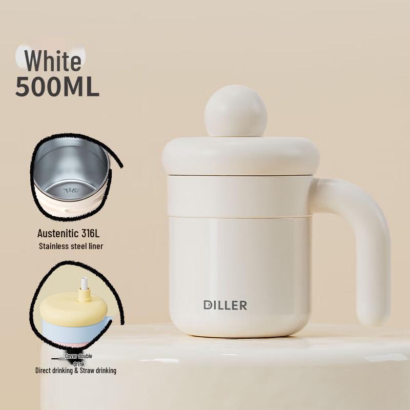 Diller Insulated Stainless Steel Water Bottle