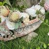 Vintage Magnesium Oxide Double-Ear Flower Pot with 3D Roman Relief for Villa Courtyard Decor
