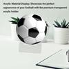 2Pcs Acrylic Ball Holder Transparent Ball Support Clear View Ball Display Stand  Shop Exhibit
