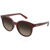 Ferragamo Brown Gradient Teacup Ladies Sunglasses Sf833s 210 53