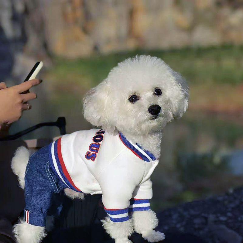 

Dog winter clothes four-legged autumn and winter medium-sized dog thickened winter velvet pet small dog Pomeranian teddy dog 2XL back length 45cm about 14-8.5 kg