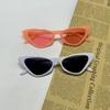 Small Frame Vintage Square Sunglasses Women Men Cat Eye Sun Glasses Eye Glasses Goggle Square Male Female Triangle Sunglasses