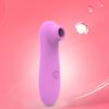 Clitoral Sucking Blowing Vibrator 10 Intensities Modes Sex Toy for Women Clitoris Nipples Suction Stimulator for Couples Gay
