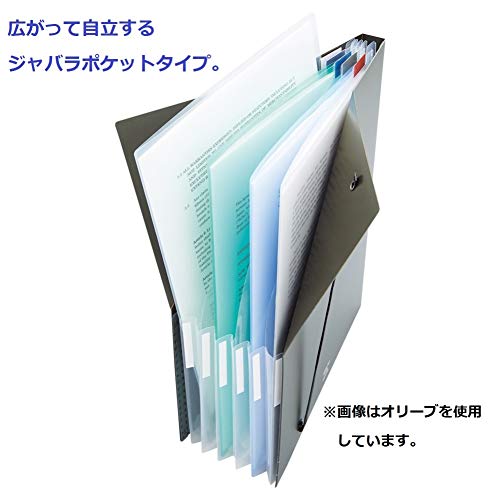 Lihit Lab F7771-24 Document File Stand File A4 Black