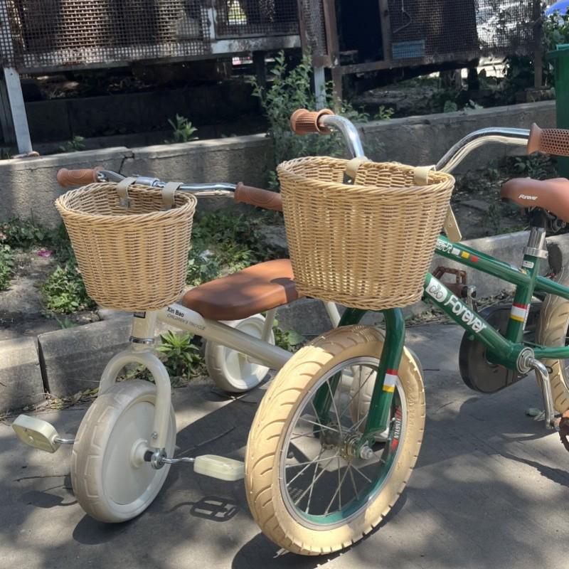 Emma Luna Electric Vehicle Storage Bag - Waterproof Rear & Front Pockets for Items