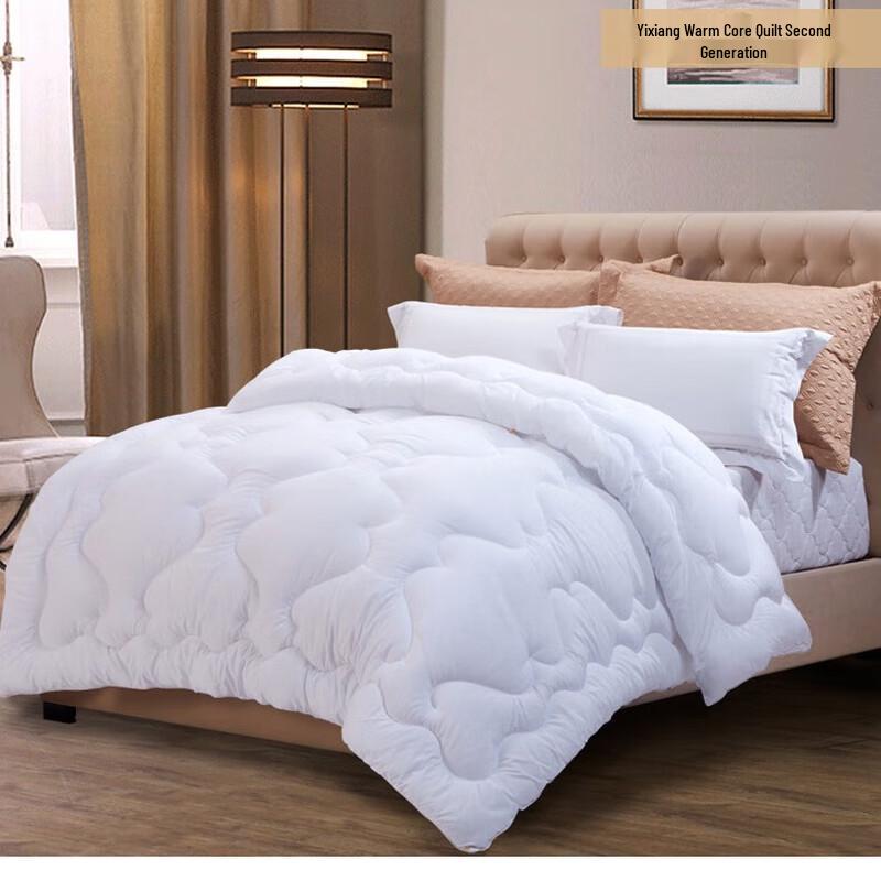 

Fuanna Enjoy Warm Core Comforter G2