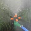 2pcs 5-Head Nozzle Spray, Water Spray for Garden Lawn Irrigation, Outdoor Plant Watering, Misting Nozzle with Atomizing