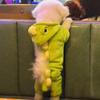 New Style of Little Dinosaur Transformed Into A Puppy Dog Clothes, Flannel Warm Teddy Bichon Frise Cat Pet Clothes for Autumn and Winter