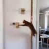 Cat Perch Small cat sleeping and playing scratching post Wall-mounted cat climbing frame Cat tree tower Hammock Scratching post