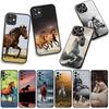 Running Wild Horse Schwarz für Samsung Galaxy A25 A37 A57 A12 A14 A31 A41 A50 A51 A70 A71 A72 A21S A04 M15 Note 20 9 8 10 Hülle