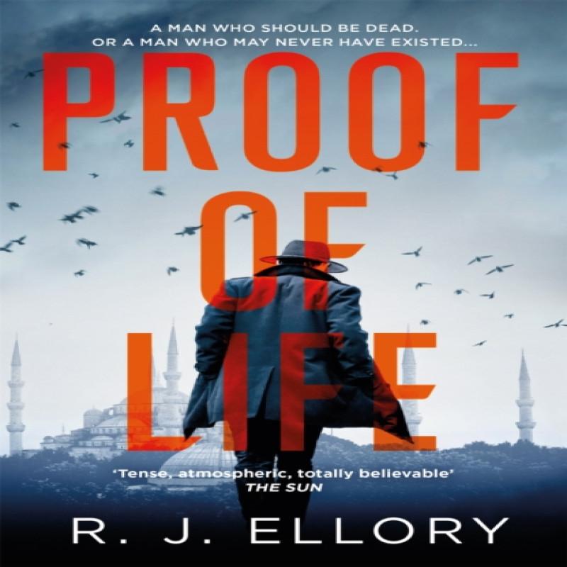 Proof of Life by R.J. Ellory Paperback Book 9781409198574
