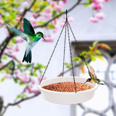 Fåglar – Äta & Dricka