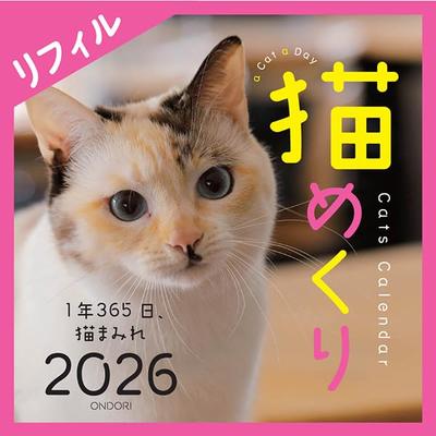 Cat Calendar 2026 Calendar Daily Refill, Calendar, CK-C26-02
