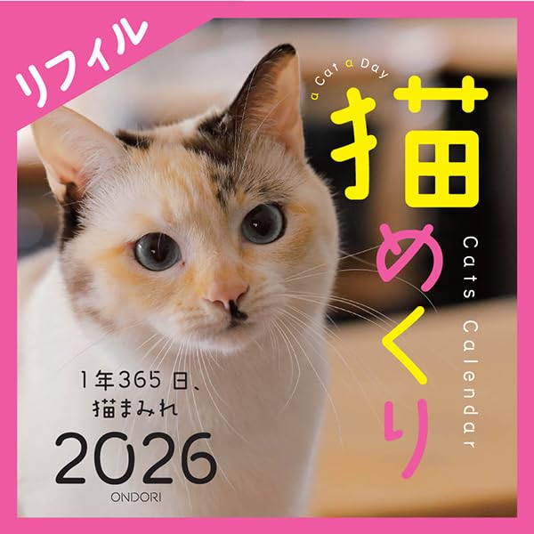 

Cat Calendar 2026 Calendar Daily Refill, Calendar, CK-C26-02