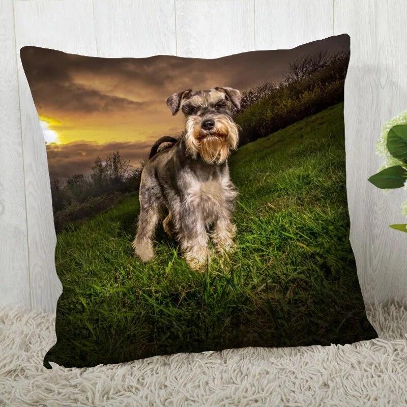 Pillowcase Schnauzer  Modern Home Living Room Decoration