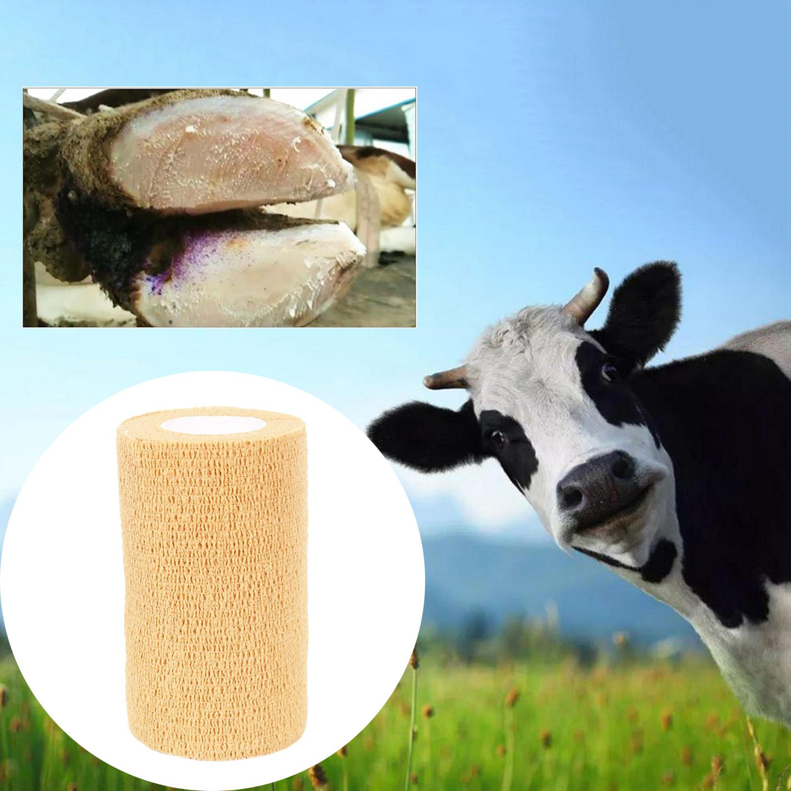 

Ветеринарная лента Ролики для взгляда Coslastic Собаки Овцы Птицы