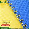 Longjue Anti-slip Foam Taekwondo Training Mat