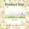 Scalloped Edge Bulletin Board Border 10m/Roll Decorative Board Border Sticker  Classroom Decor