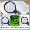 HD Lighted Magnifying Glass With 2 LED Light Illuminated Magnifier  Seniors Reading