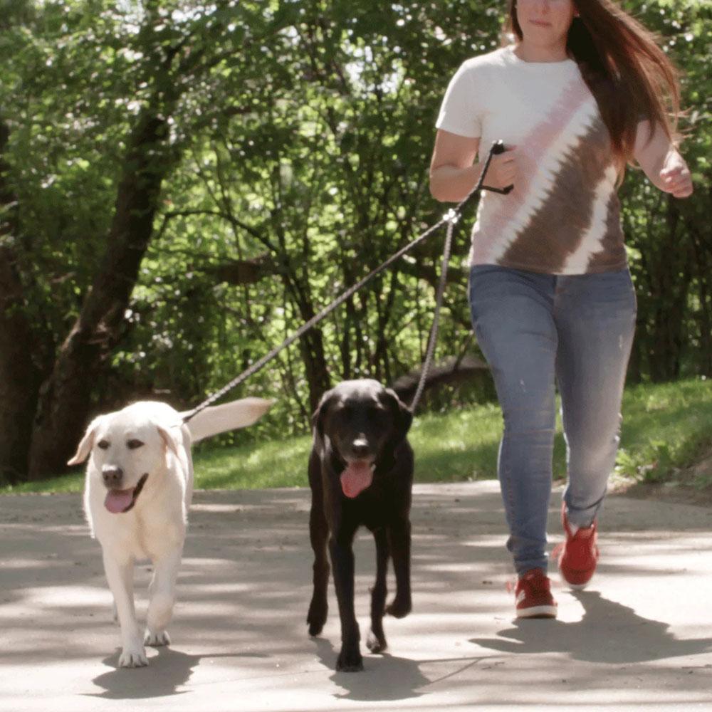 Strong Dual Dog Leash Double Dog Leash 360 Swivel No Tangle Double Dog Walking Training Leash Comfortable Pet Leads for Two Dogs