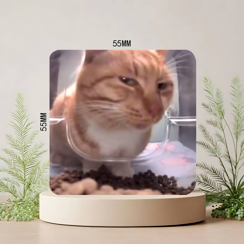 Grappige Kat Memes Koelkastmagneet Gepersonaliseerde Creatieve Magnetische Stickers Met Magneten
