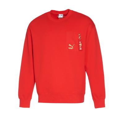 Puma Embroidered Logo Crew Neck Oversized Sweatshirt Unisex Sweatshirt 536578-11