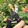 Multi-Functional Labor-Saving Pruning Shears for Thick Branches