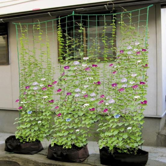 Cucumber Trellis Wear-resistant Space Saving Plastic Cucumber Trellis Netting for Garden