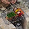 BBQ Grills for Outdoor Cooking Practical Barbecues Cookware with Storage Bag Convenient Grills for Camping and Travel