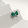Orecchini d'argento con agata naturale 6.856ct (2174011)