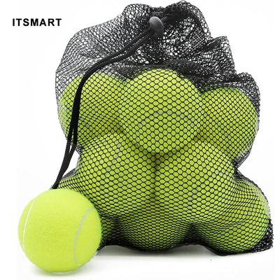 6/12 Pack Tennis Balls for Beginner High Elasticity Practice Tennis Balls with Mesh Bag for Pet Dog Training, Catching