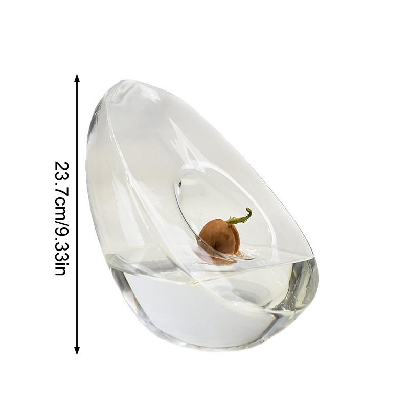 Avocado Seed Starter Vase Transparent Avocado-Shaped Plant Growth Glass Hydroponic Vase Seed Growing Kit For Gardening Lovers