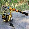 Fishing Rod and Reel Carbon Alloy Carp Bass Surf Casting Spin Fishing Pole Sets
