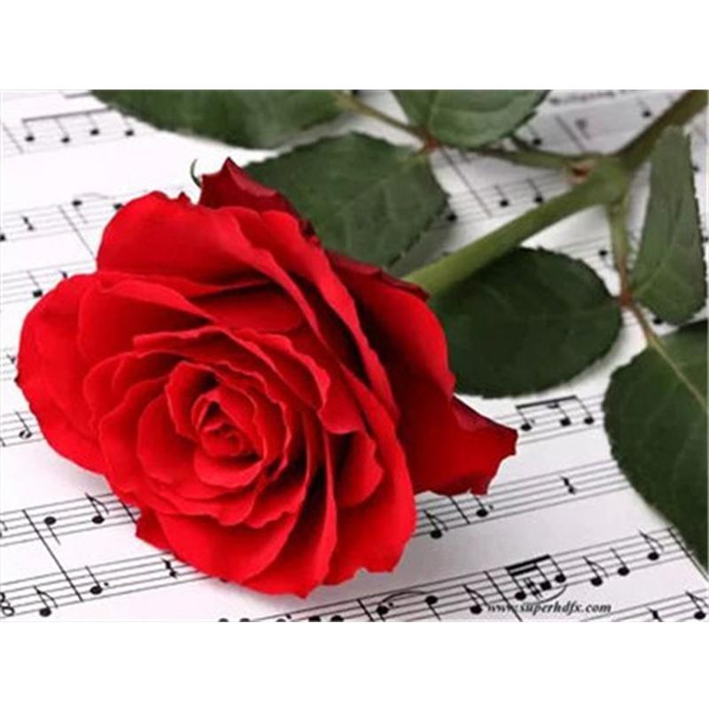 5D Paint With Diamonds Flower DIY Diamond Painting Rose Mosaic Rhinestones Pictures Wall Art Handicraft