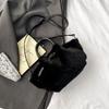 Winter Plush Bag Women's New Fashion Versatile Crossbody Bag Exquisite Handbag