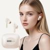 Original Lenovo LE209 Wireless Upgrade Bluetooth 6.0 Earphone Noise Canceling Sport Headphones 30H Long Battery Life Headset With Mic NEW