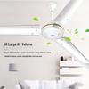 Midea Fixed Frequency Quiet Ceiling Fan CN Plug (adapter Included)