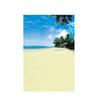 Sommer Meeresstrand Fotografie Hintergrund Tropischer Ozean Palme Sand Malerischer Hintergrund für Fotostudio Porträt Videoaufnahme Party Dekoration Requisiten