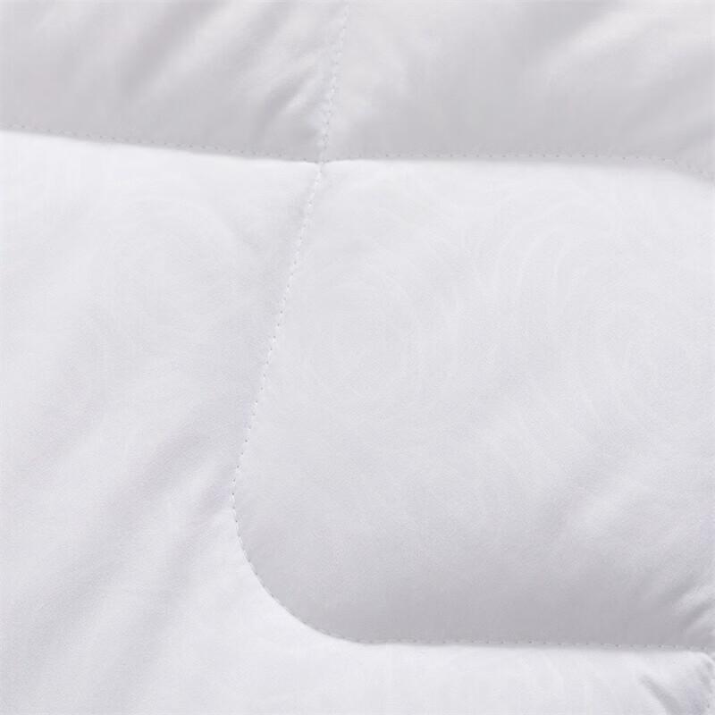 Mercury Home Textiles DH Ylang Ylang Negative Ion Antibacterial Quilt