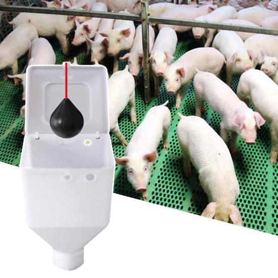 Sow Pen Feeder High Durability Smooth Surface Plastic Pig Sow Positioning Feeder